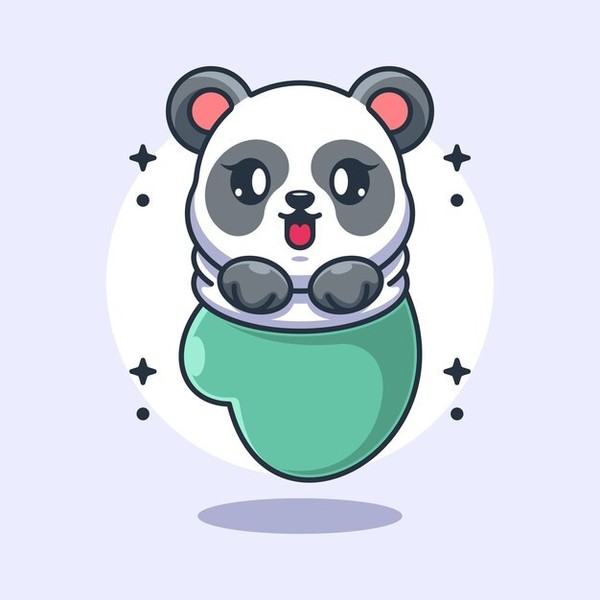 Panda Chaussette