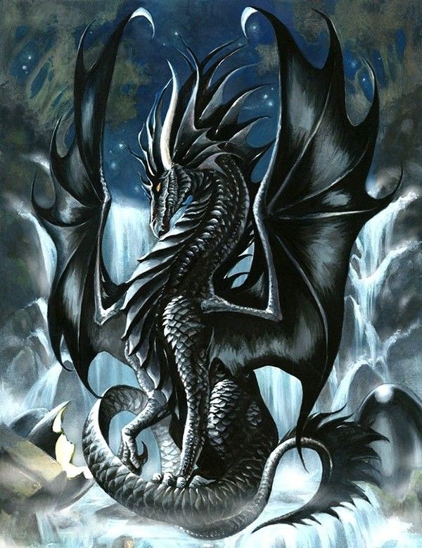 Dragon Noir Cascade