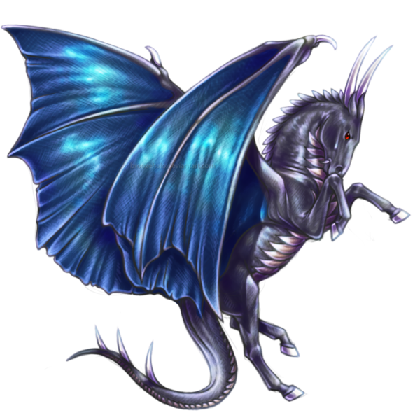 Unisus Noir Bleu Gris Bicorne Dragon