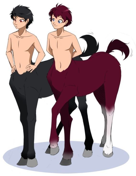 2 Centaures Adolescents Manga 1 Noir & 1 Prune