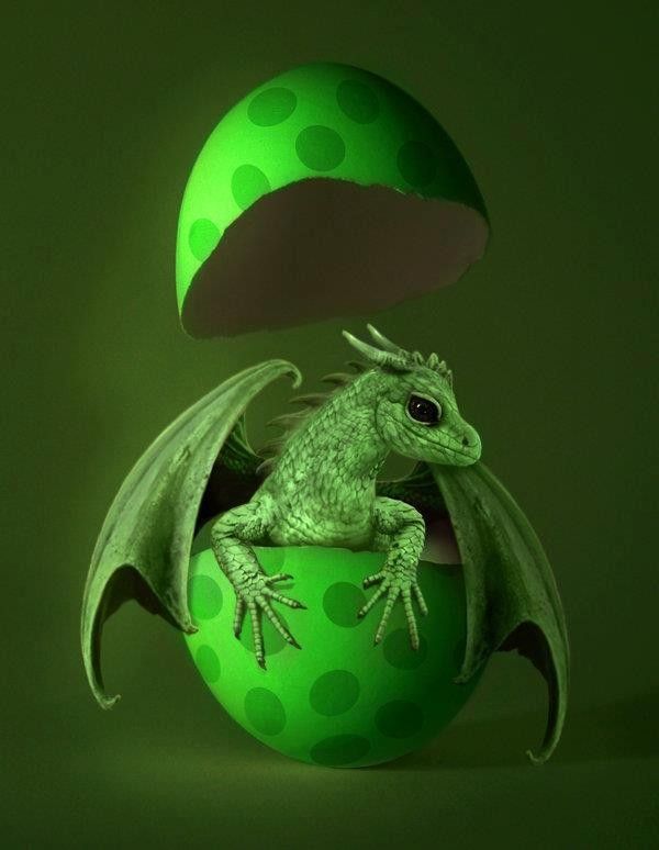 Naissance D'un Dragonnet Vert