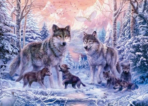 Famille De Loups Dans La Forêt En Hiver