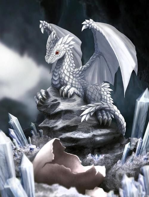 Dragonnet Cristal Couché Dans Son Nid