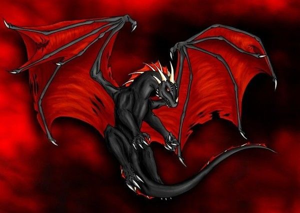 Dragon Noir Rouge Sur Fond Rouge