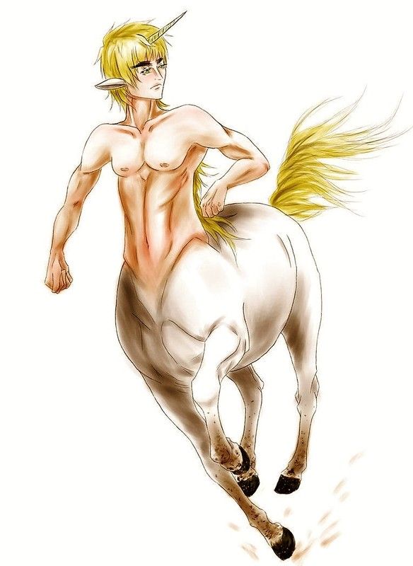 Centaure Blanc Unicorne