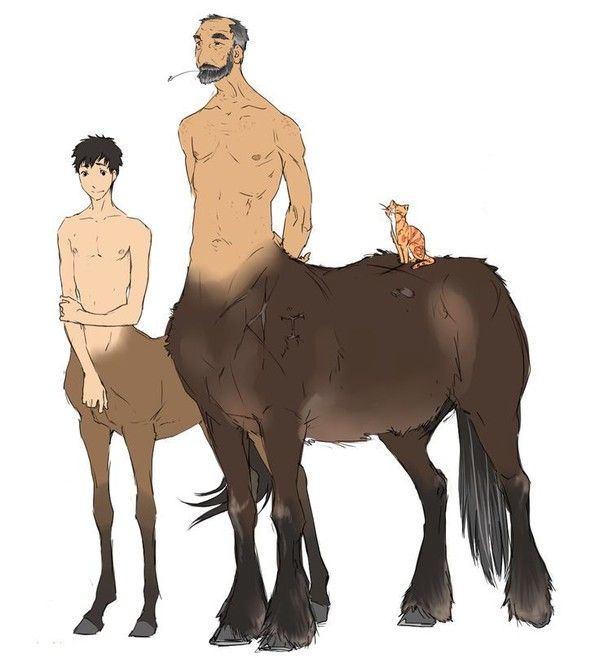 2 Centaures & 1 Chat Manga