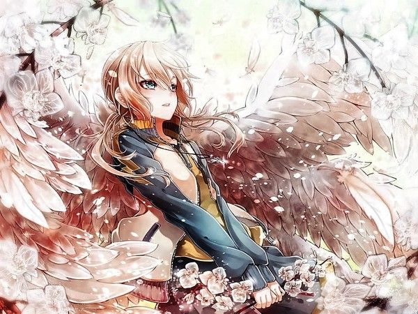 Ange Manga Ailes Rose Pâle Fleurs De Cerisier