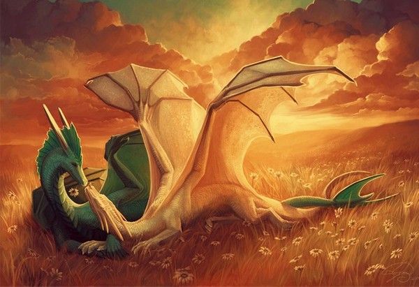 Couple De Dragons Vert & Blanc