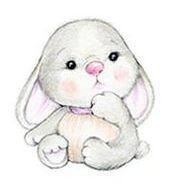 Lapin Cute