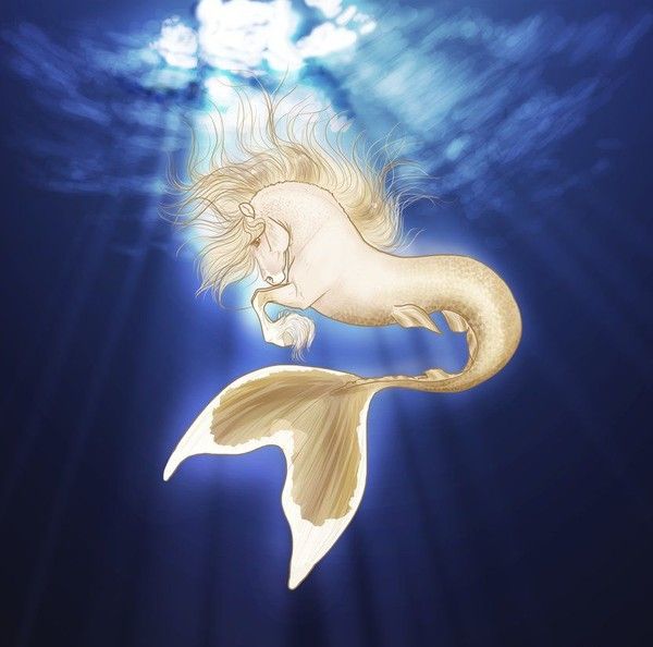 Cheval Aquatique Blanc Dans L'océan Bleu