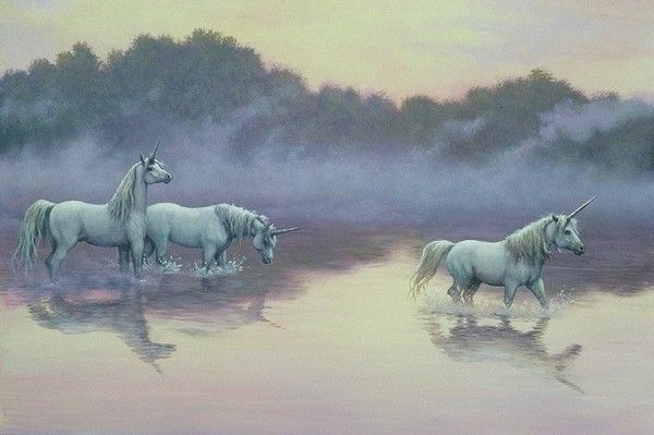 3 Licornes Blanches Marchant Dans L'eau