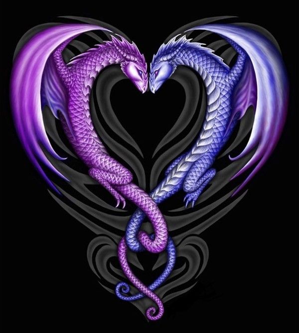 Dragons Coeur Violet & Bleu