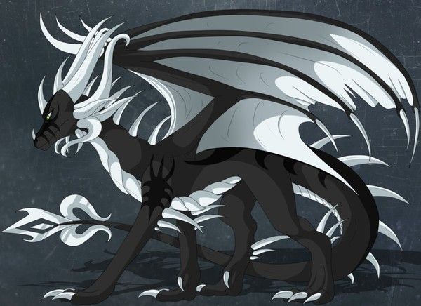 Dragon Noir Blanc Manga