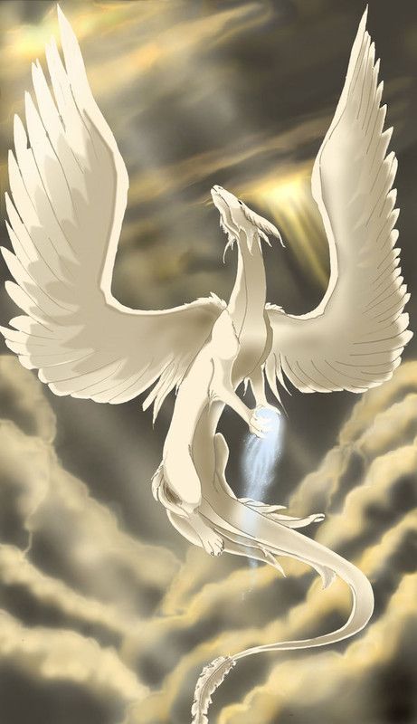 Dragon Blanc Angélus