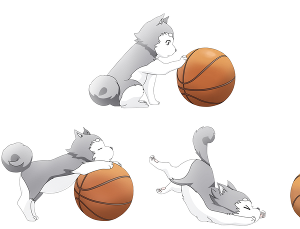 Chiot Husky Manga Jouant Avec 1 Ballon De Basket