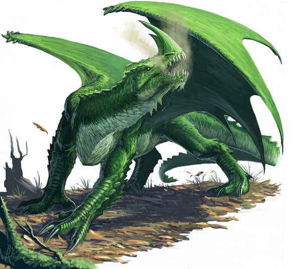 Dragon Vert Bicorne Entre Les Narines