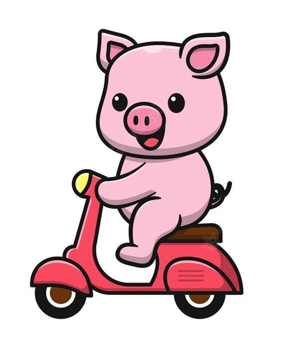 Cochon Scooter