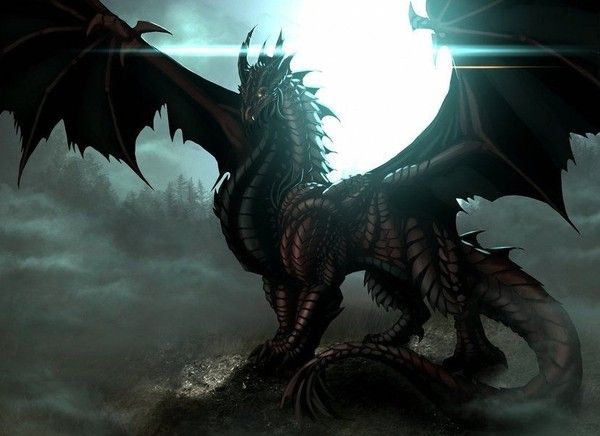 Dragon Noir Dos à La Lumière