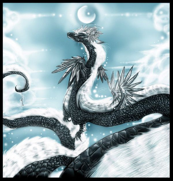 Dragon Oriental Céleste Noir Blanc