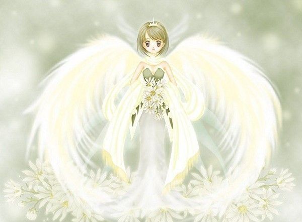 Ange Manga De Lumière Sur Fleurs Blanches