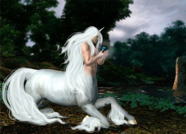 Centaure Unicorne Blanc