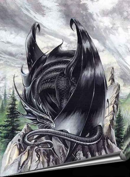 Dragon Noir Décor Forêt Montagne