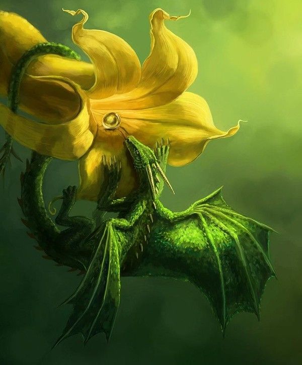 Dragon Vert Recueillant Le Nectar D'une Fleur