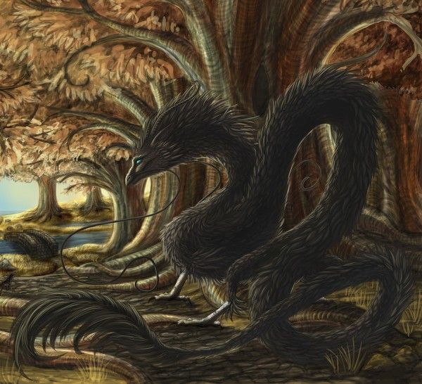 Dragon Oriental Des Forêts Plumes Noires