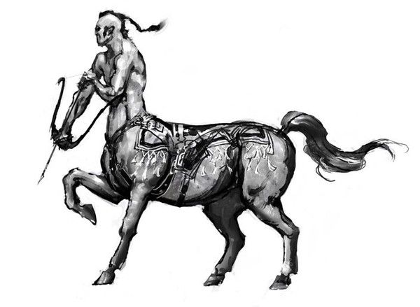 Centaure Dessiné