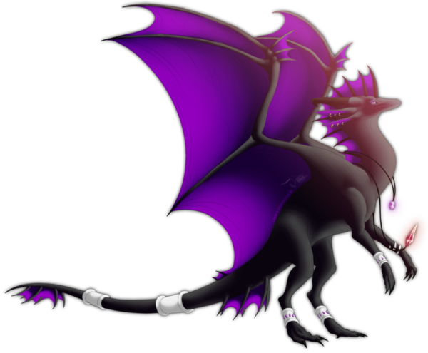Dragon Noir Violet Sur Fond Blanc