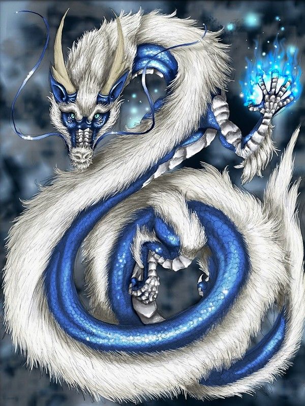 Dragon Oriental Bleu Blanc Magie