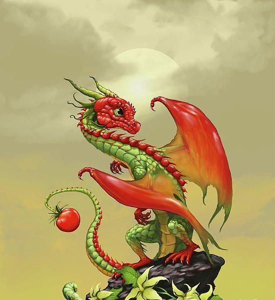 Dragons De La Tomate