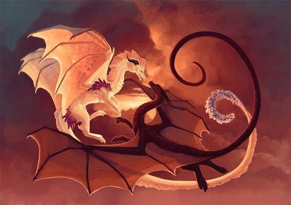 Couple De Dragons Blanc & Marron