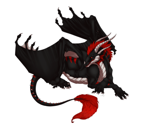 Dragon Noir Blanc Rouge Sur Fond Blanc