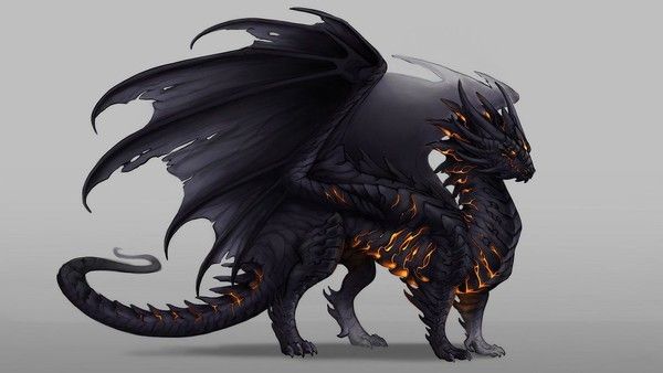 Dragon Noir De Feu Sur Fond Gris