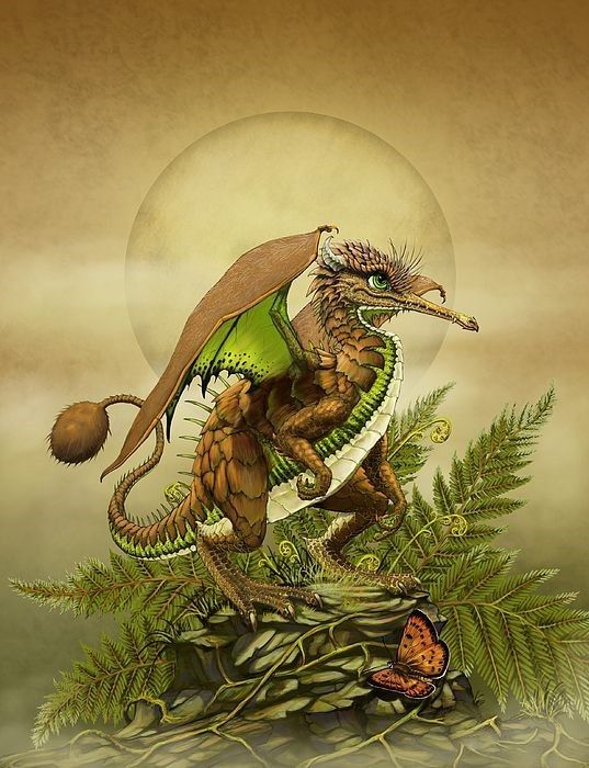 Dragon Du Kiwi