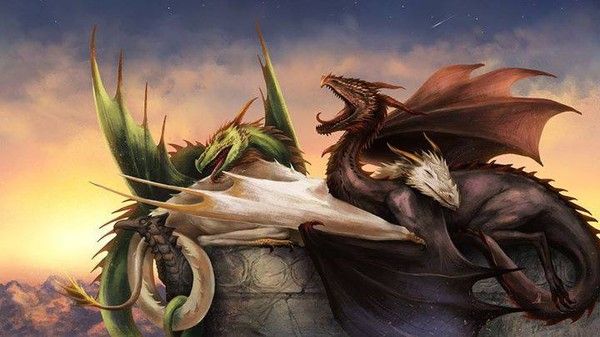 3 Dragons De Couleurs Différentes