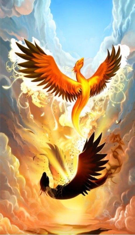 Mort et résurrection d'un Phoenix