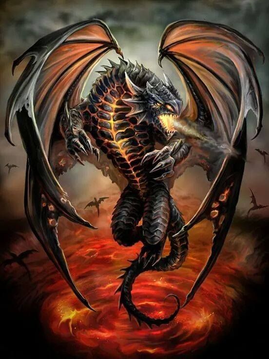 Dragon Noir Tornade De Feu