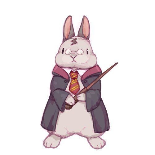 Lapin Cosplay Harry Potter
