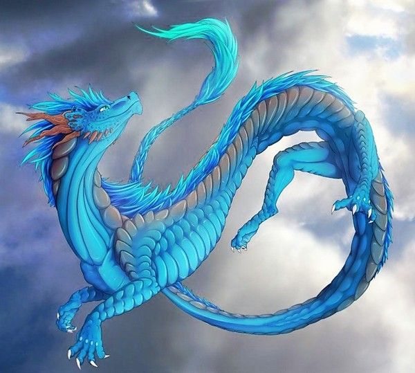 Dragon Oriental Bleu Gris