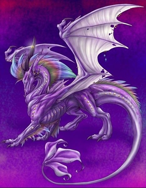 Dragon Violet Arc-en-ciel