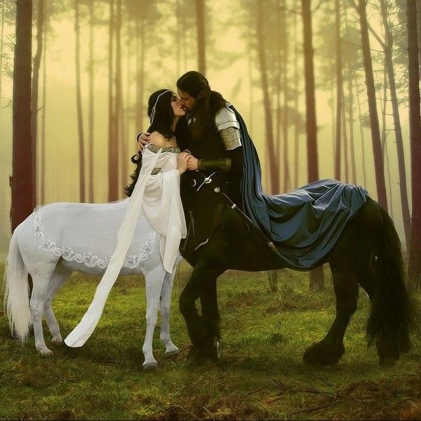 Couple De Centaures S'embrassant Dans La Forêt