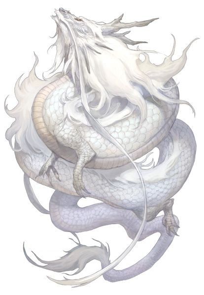 Dragon Oriental Esprit Blanc