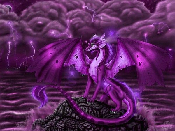 Dragon Violet Aux Ailes Abîmées