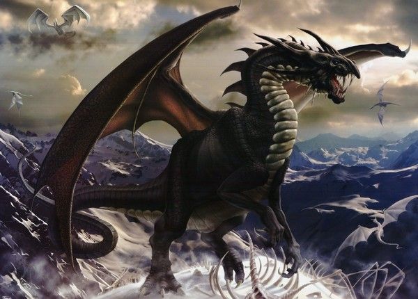 Dragon Noir Entouré De Ses Proies