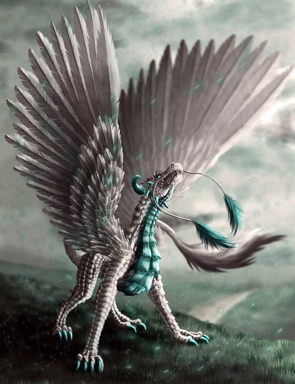 Dragon Oriental Blanc Turquoise
