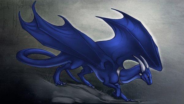 Dragon Bleu Roi Gris