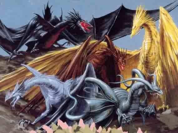 5 Dragons De Couleurs Différentes