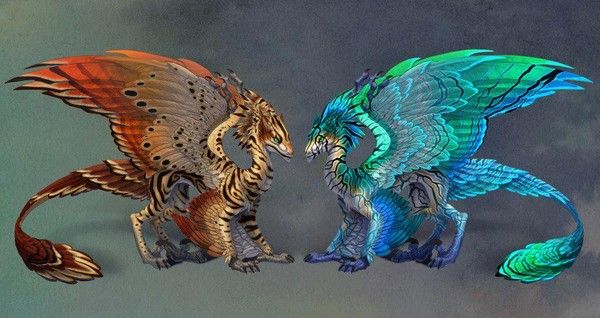 Dragons Miroirs Tigrés